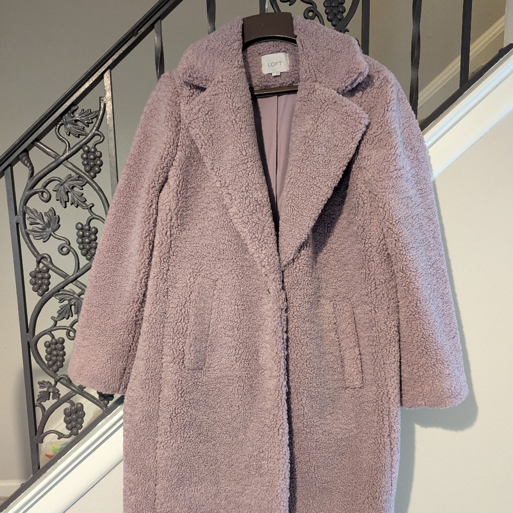 LOFT Plush Teddy Coat in Lavender